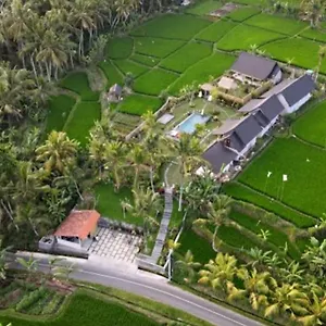 Maison d'hôtes Coconut